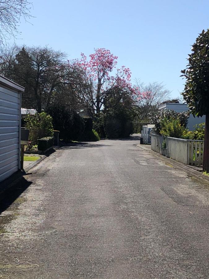 Inglewood Shared Home Bnb New Plymouth Exteriör bild
